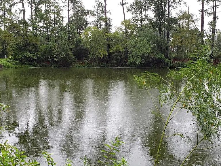Đất bán tại Crosby, TX - $89,900 - ảnh 3
